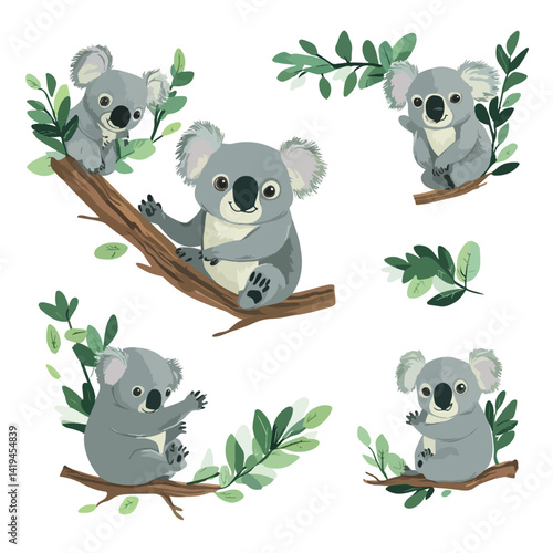 koala, animal, vector, transparent background, various