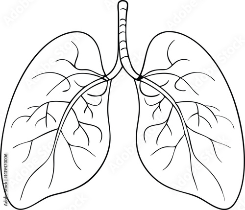 Outline of Human Lungs with Bronchial Tree, Anatomical on White Backdrop