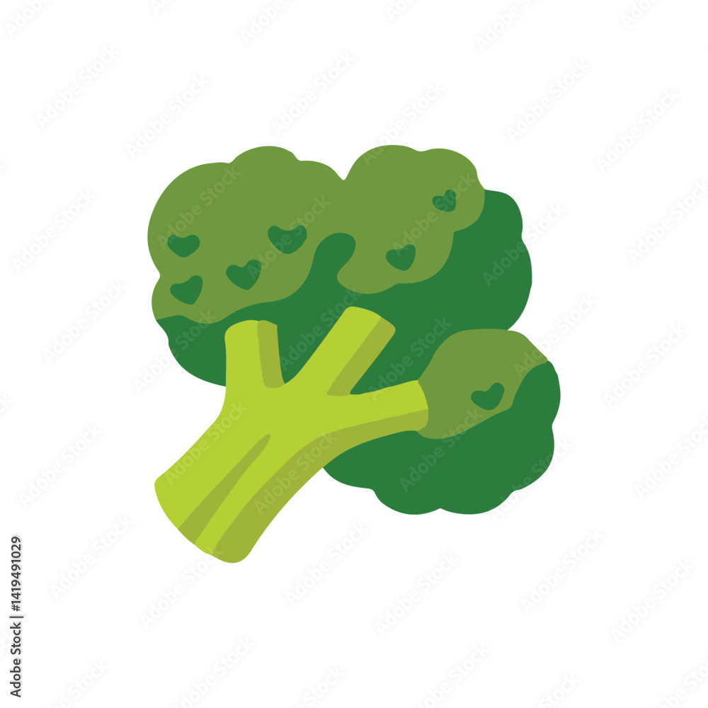 broccoli vector illustration on white background. broccoli vector illustration on white background.