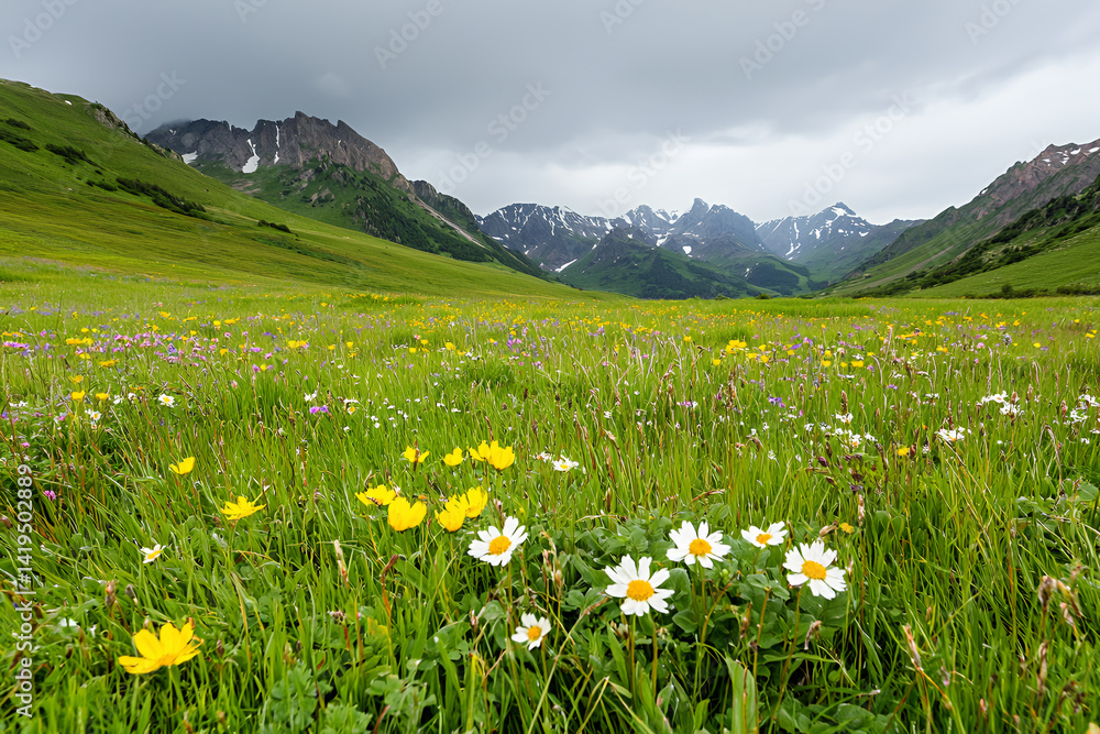 Obraz premium Lush green meadow filled with vibrant wildflowers cloudy sky, surrounded by majestic mountains. scene evokes sense
