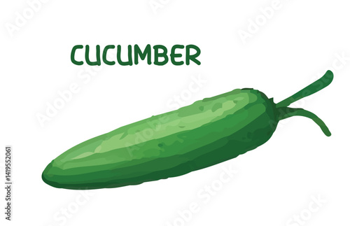 cucumber on white background