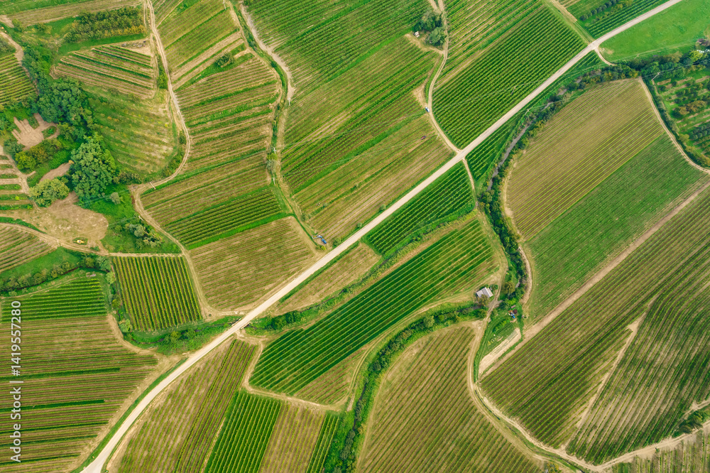 Aerial view of the beautiful vines in the Brda region of Slovenian vineyards.