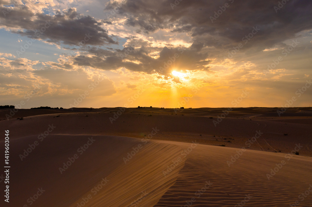 Fototapeta premium Beautiful clouds sunset sunrise with beautiful date palm tree in the desert sand dune Oasis