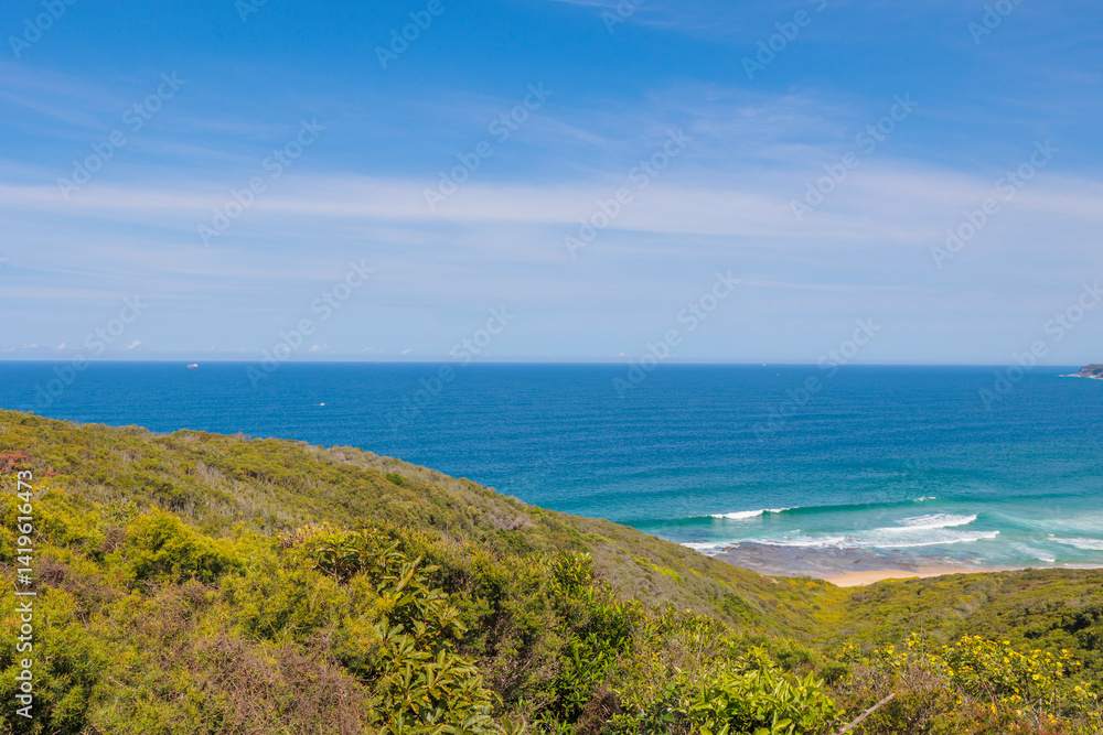 Fototapeta premium ニューキャッスルの丘から見えるビーチ