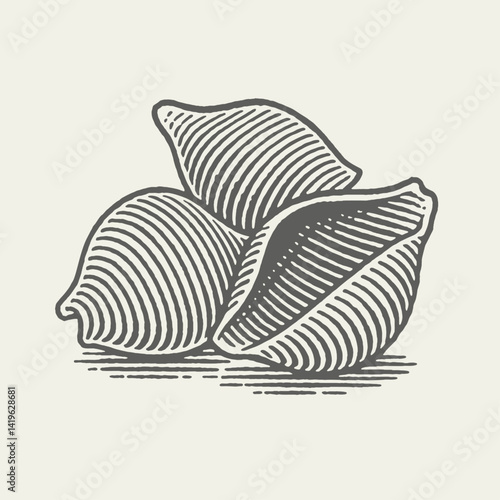Shell Conchiglie Pasta. Vintage woodcut engraving linocut style vector illustration.