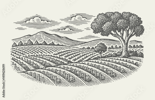 Vineyard Landscape. Vintage woodcut engraving linocut style vector illustration.
