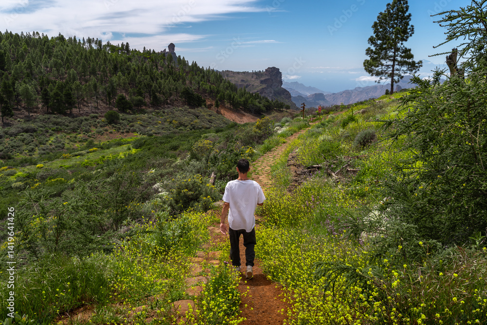 Obraz premium Young man hiking at the top of Gran Canaria Island in a sunny day. Canary islands. Spain