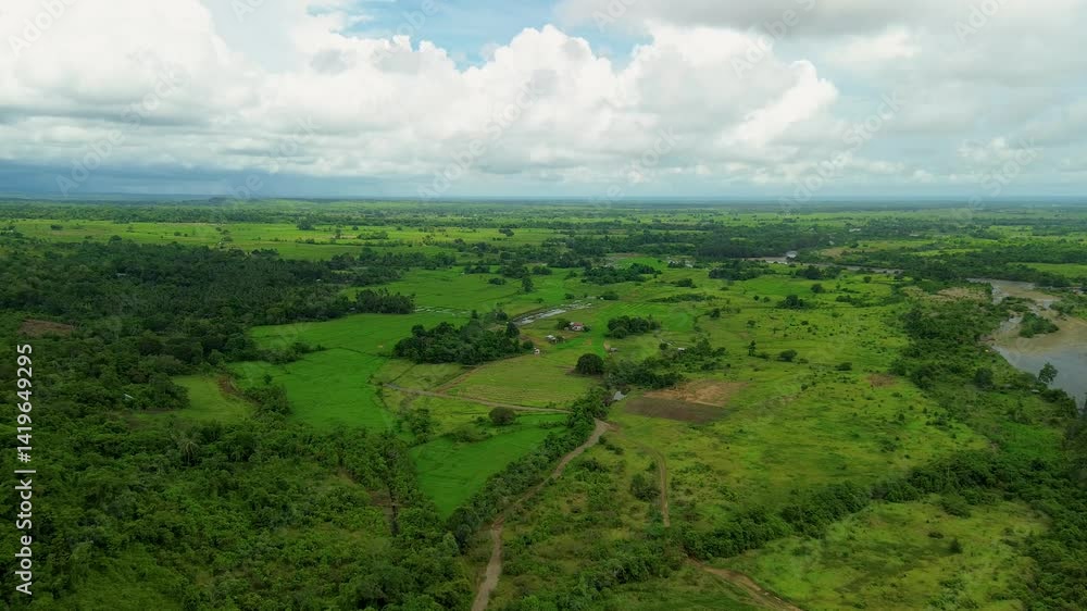 Aerial view of vibrant green rice paddies and farmlands in Dumaguena, Aborlan, Palawan, Philippines, with a glimpse of the nearby river. Aerial view of vibrant green rice paddies and farmlands in Dumaguena, Aborlan, Palawan, Philippines, with a glimpse of the nearby river.