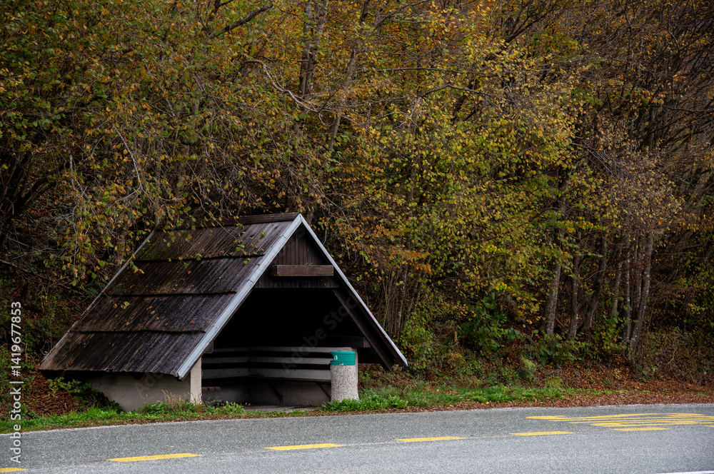 Wooden bus shelter standing on roadside with colorful autumn trees in background