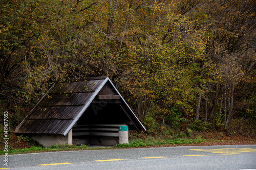 Obraz na płótnie Wooden bus shelter standing on roadside with colorful autumn trees in background w salonie