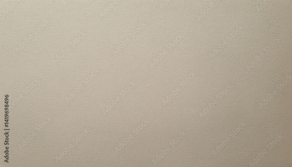 Cardboard paper texture Minimalistic grainy eggshell Abstract grunge background Beige color wall or vintage sheet of paper Rough wall in grayish tones fine textured plaster Cardboard paper texture Minimalistic grainy eggshell Abstract grunge background Beige color wall or vintage sheet of paper Rough wall in grayish tones fine textured plaster