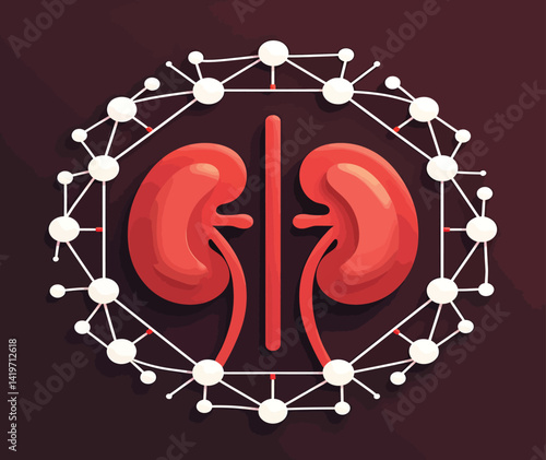 Kidney health illustration for medical education and research on renal system anatomy and function study guide