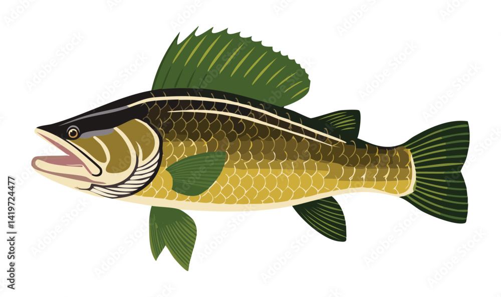 Fototapeta premium Snakehead Fish Fresh Water - Vector Illustration