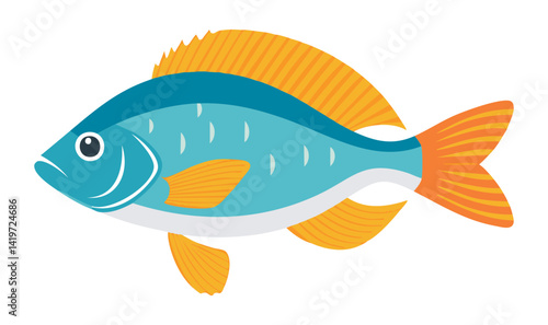 Tilapia Fish Fresh Water - Vector Illustration