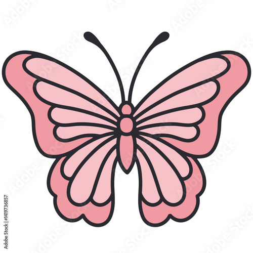 butterfly vector illustration
