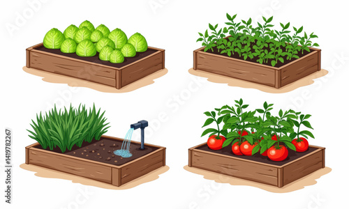Raised Garden Beds with Cabbage, Tomatoes, and Irrigation