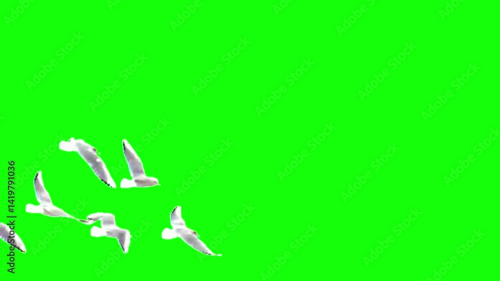Birds flying across Green Screen Background 3D render, Flock of Flying ...