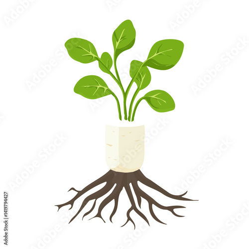 A Very Simple flat 2D icon marshmallow root isolated on a white background, vector, flat design, vector, animation design, simple flat 2D icon, minimalist design, vector design
