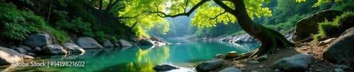 tree in natural landscape with rocks and water, foliage, calm, trees