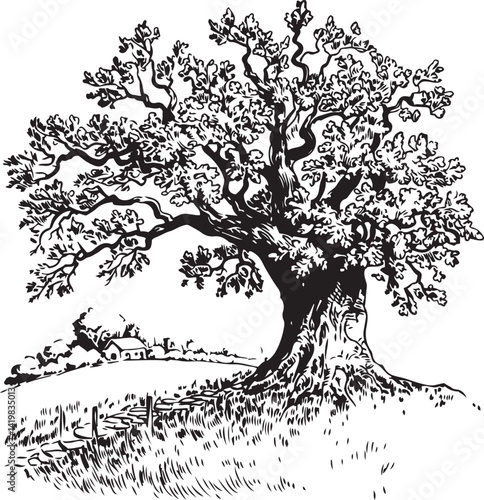 Vintage black and white tree illustration with intricate branches and leaf details showcasing an old oak tree in pen and ink style perfect for rustic landscape art