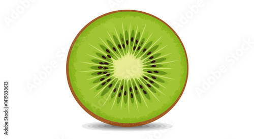 Vector Slice of green kiwi fruit