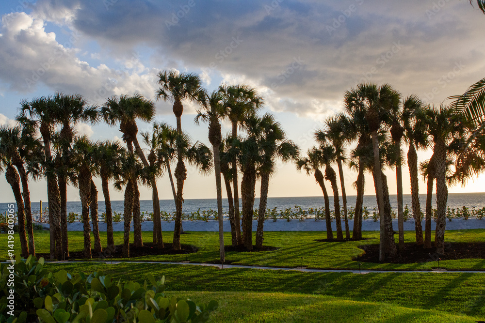 Obraz premium Sunsets Over Beaches, Palm Trees and Oceans