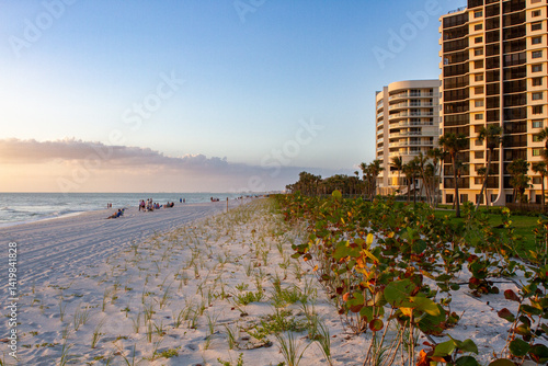 Sunsets Over Beaches, Palm Trees and Oceans