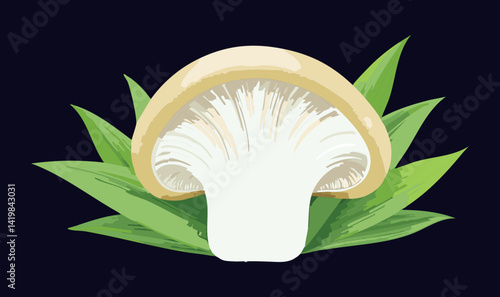 Vector Illustration of King Oyster Mushroom