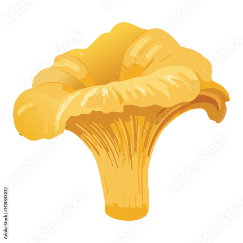 yellow chanterelle mushroom - vector illustration