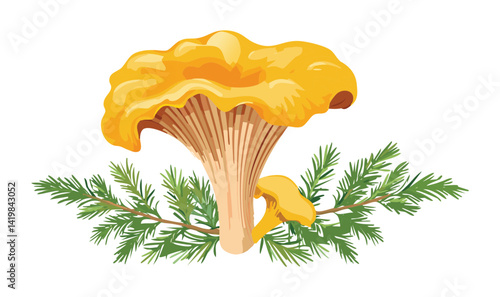 yellow chanterelle mushroom and herbs - vector illustration