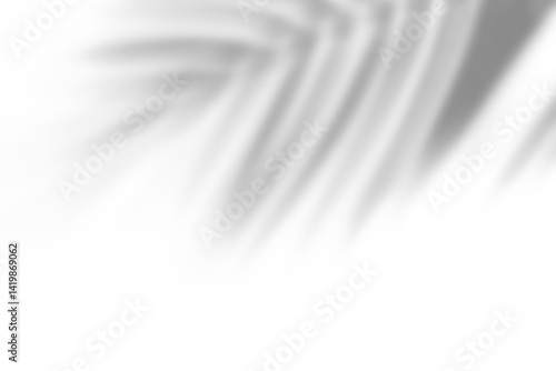 Palm leaf shadow overlay effect,tropical leaves shadows isolated on transparent png background 