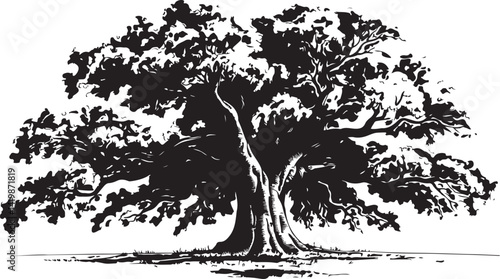 Highly detailed line drawing of a majestic oak tree with sprawling branches thick trunk and rich foliage in black and white botanical sketch style nature artwork