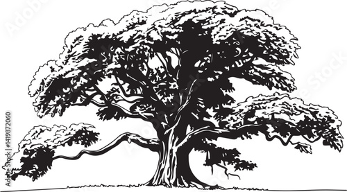 Realistic line drawing of a large oak tree with wide spreading branches intricate bark texture and lush foliage illustrated in black and white nature inspired sketch