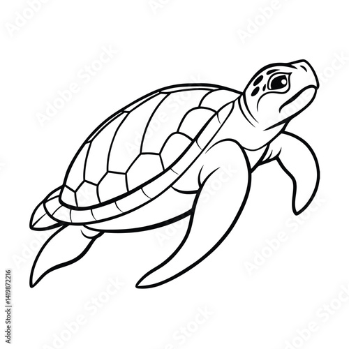 Sea Turtle Illustration Black And White Graphic Outline Vector Design Aquatic Animal