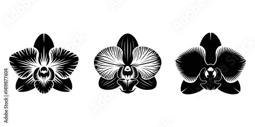 orchid flower set line art silhouette vector illustration, Set of isolated silhouette orchid in styles. Cute hand drawn vector illustration in white outline and black plane on white background.