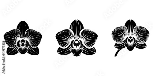 orchid flower set line art silhouette vector illustration, Set of isolated silhouette orchid in styles. Cute hand drawn vector illustration in white outline and black plane on white background.