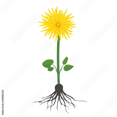 A Very Simple flat 2D icon yellow dandelion root isolated on a white background, vector, flat design, vector, animation design, simple flat 2D icon, minimalist and modern design, 2D design