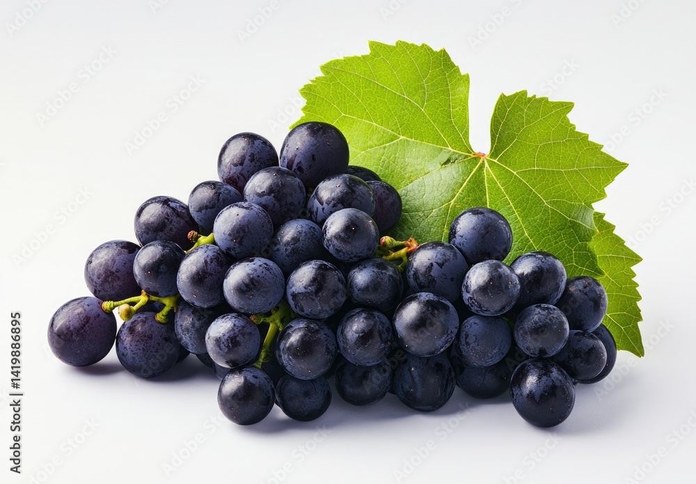 Cluster of dark purple grapes with a vibrant green leaf Cluster of dark purple grapes with a vibrant green leaf