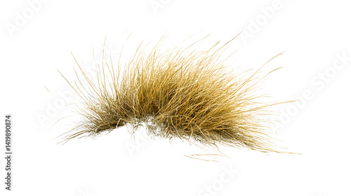 Tumbleweed Rolling Across Desert Landscape Isolated
