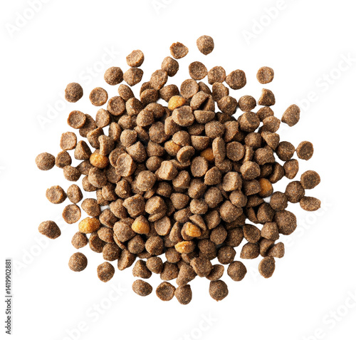 Feeding pets with high-quality kibble home food isolated on transparent background