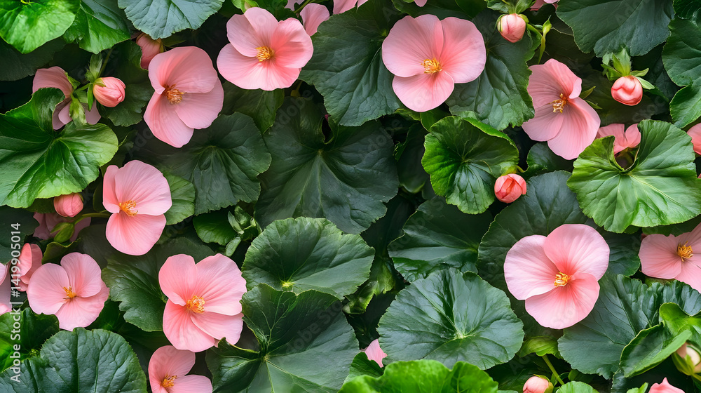 Fototapeta premium Pink Flowers Bloom Lush Green Leaves