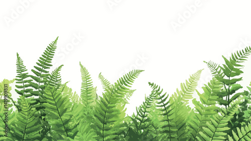 A high-resolution close-up photo shows a group of vivid bright green ferns arranged against a pure white horizontal border. The ferns appear in a range of hues.