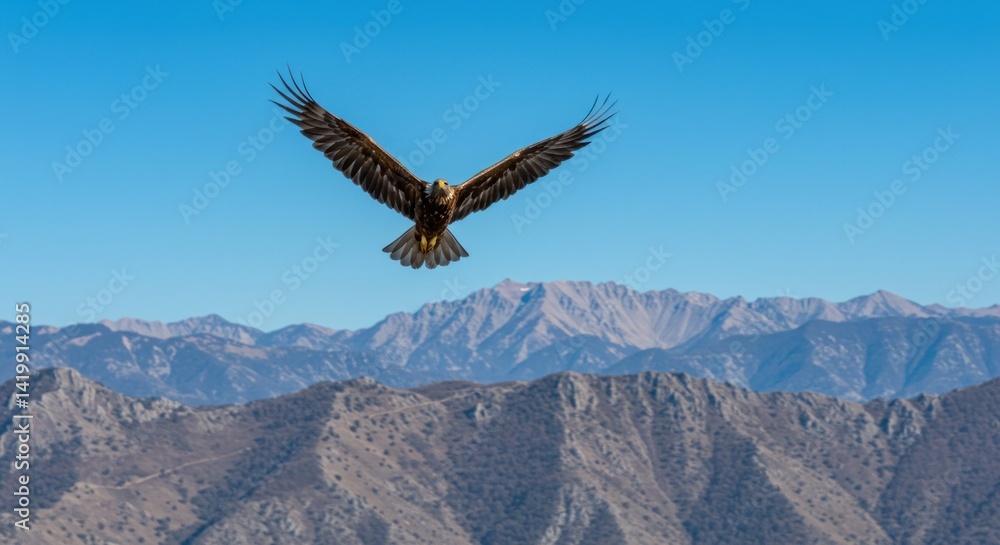 Fototapeta premium Eagle in Flight Over Mountains (Photo)