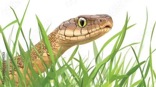 Close-up of a snake's head and upper body emerging from lush green grass. This photo has a shallow depth of field, allowing the snake's subtle features to be clearly seen.