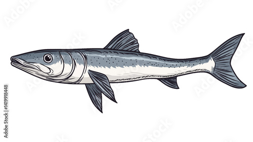 A detailed vector illustration depicting a *Rhacolepis buccalis* (an extinct fish) in profile, set against a pure white background. The illustration is in a grayscale palette, primarily.