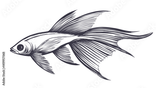 A monochrome illustration of a betta fish, styled like a pencil or pen drawing, showing smooth lines.