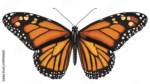 A detailed vector illustration of a monarch butterfly on a pure white background. The image shows the butterfly's wings fully expanded, revealing the intricate structure.