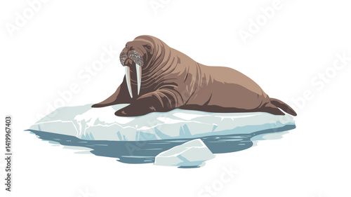 Close-up: A carefully painted model of a walrus lies on a small, irregular ice floe. The walrus is in a calm pose, its fur showing subtle textures.