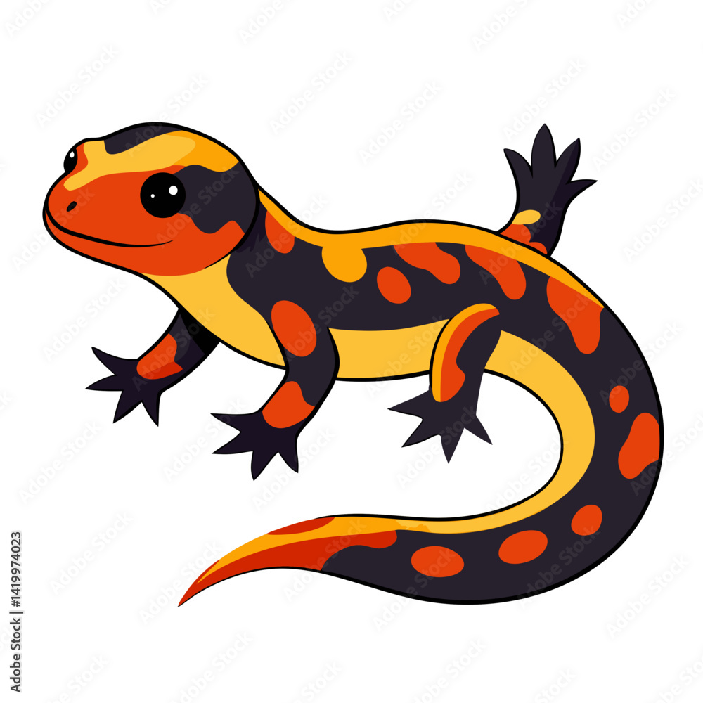 salamander salamander