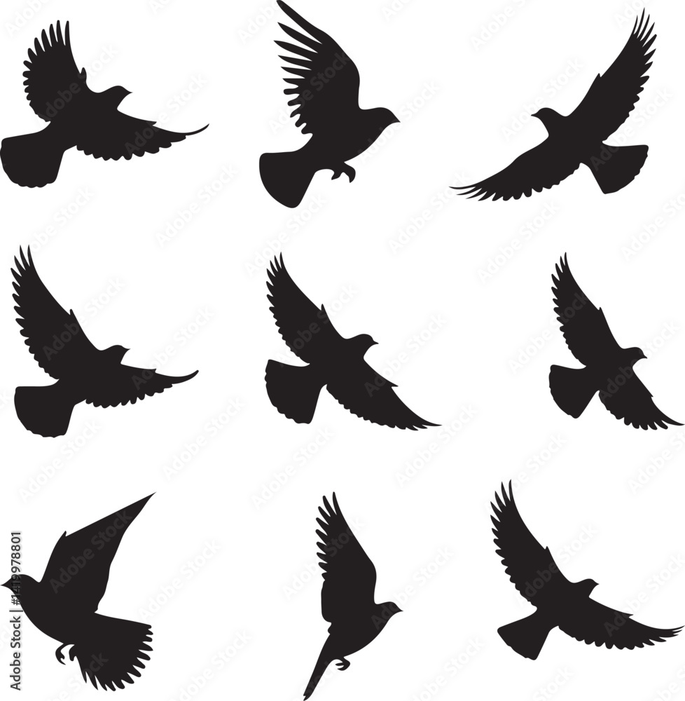 Obraz premium Birds Flock Flying Silhouette – Minimalist Sky Scene Vector